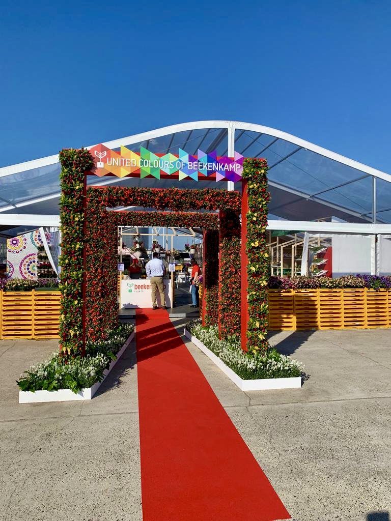 Beekenkamp Flower Trials - Een kleurexplosie!